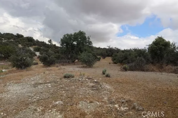 Tehachapi, CA 93561,0 Umfalozi