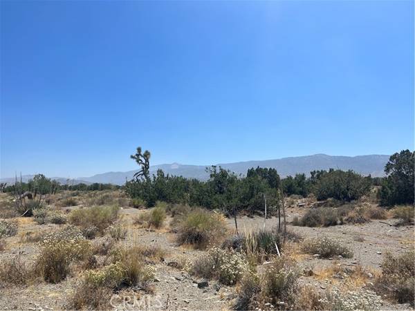 Pinon Hills, CA 92372,2698 Smoke Tree