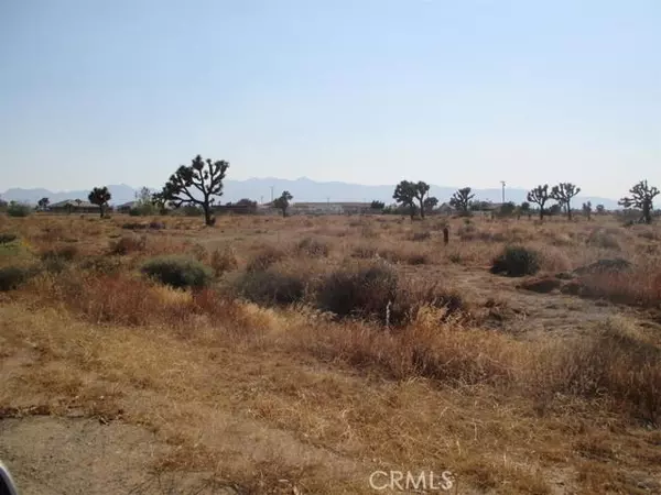 Oak Hills, CA 92344,0 Columbine