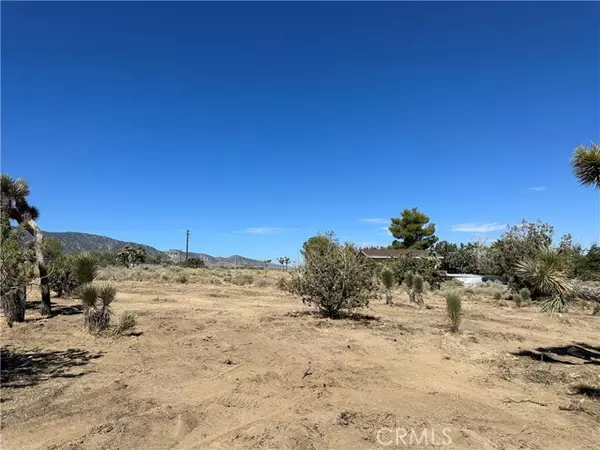 Pinon Hills, CA 92372,10232 EVERGREEN Ct