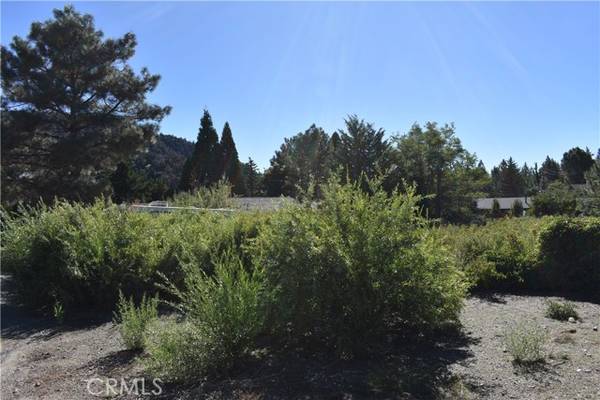 0 Evergreen, Wrightwood, CA 92397