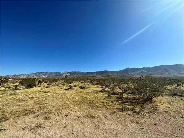 Lucerne Valley, CA 92356,0 Custer