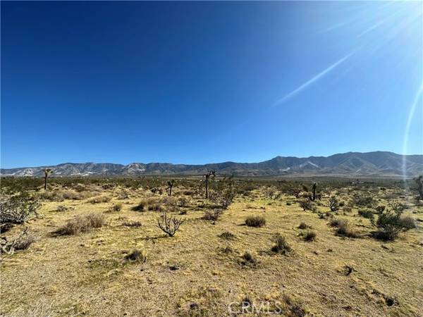 0 Custer, Lucerne Valley, CA 92356