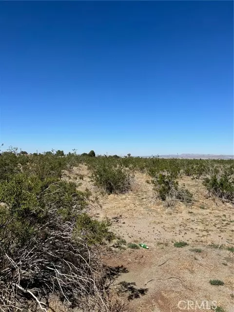 Pinon Hills, CA 92372,0 Blanco