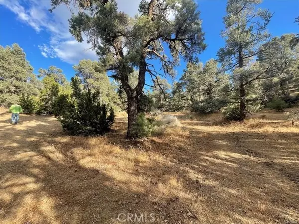 Pinon Hills, CA 92372,0 Homeridge