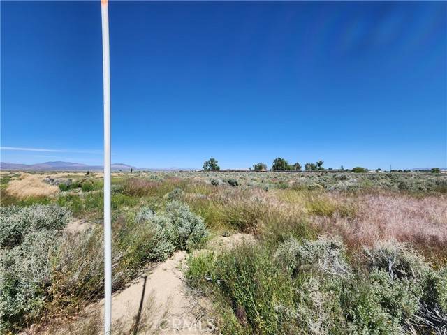 1 Near Sunset, Lucerne Valley, CA 92356