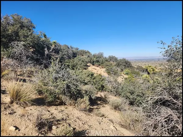 Pinon Hills, CA 92372,0 Malpaso