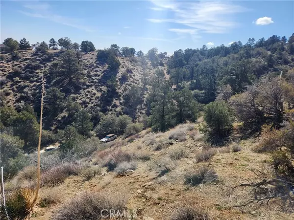 Wrightwood, CA 92397,0 Scenic