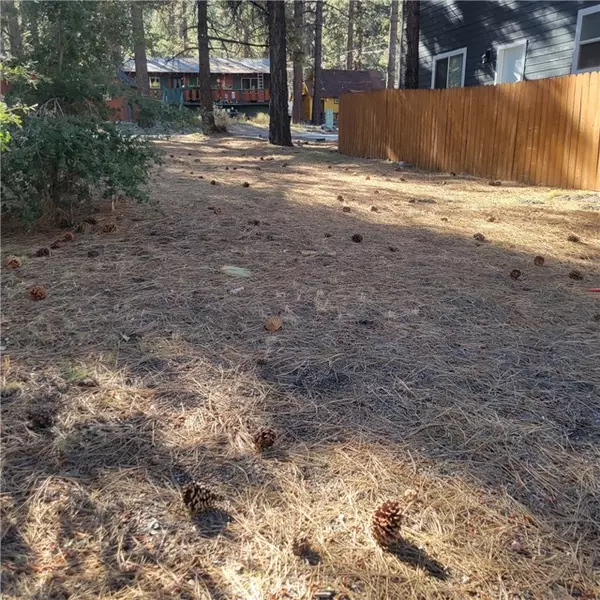 Wrightwood, CA 92397,0 Ross