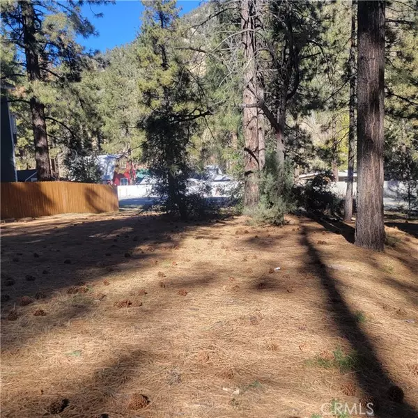 Wrightwood, CA 92397,0 Ross