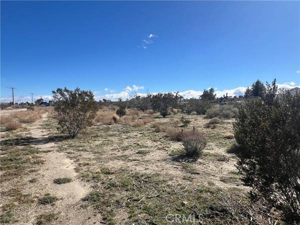 Pinon Hills, CA 92372,0 mountain