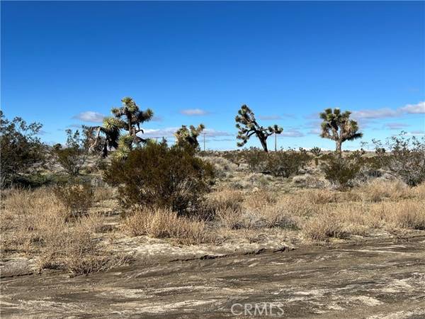 Pinon Hills, CA 92372,0 mountain