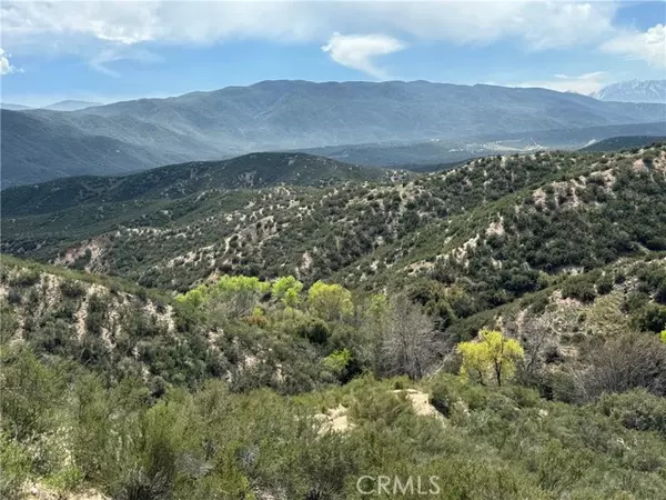 Hesperia, CA 92345,0 Near Oak Spring Rd