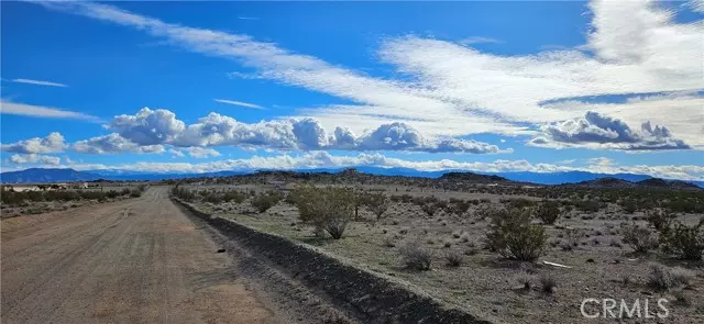 Lucerne Valley, CA 92356,800 Jackmani