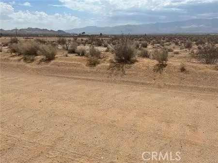 Lucerne Valley, CA 92356,0 Rock Rose