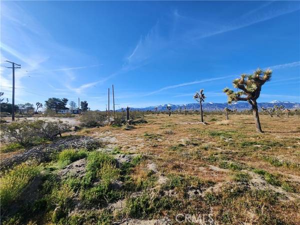 Pinon Hills, CA 92372,0 Marco