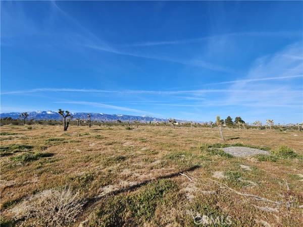 Pinon Hills, CA 92372,0 Marco