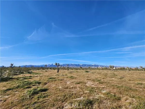 Pinon Hills, CA 92372,0 Marco