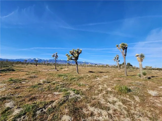 Pinon Hills, CA 92372,0 Marco