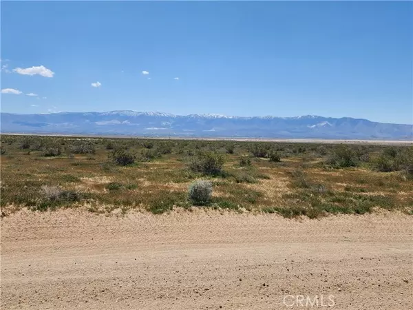 Lucerne Valley, CA 92356,501 Haynes