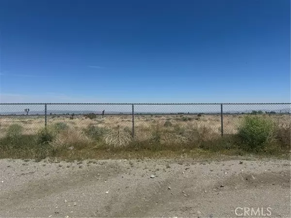 Phelan, CA 92371,0 Nandina