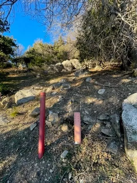 Cedarpines Park, CA 92322,0 Peak