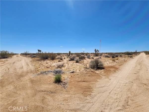 40 Joshua Tree, Joshua Tree, CA 92252