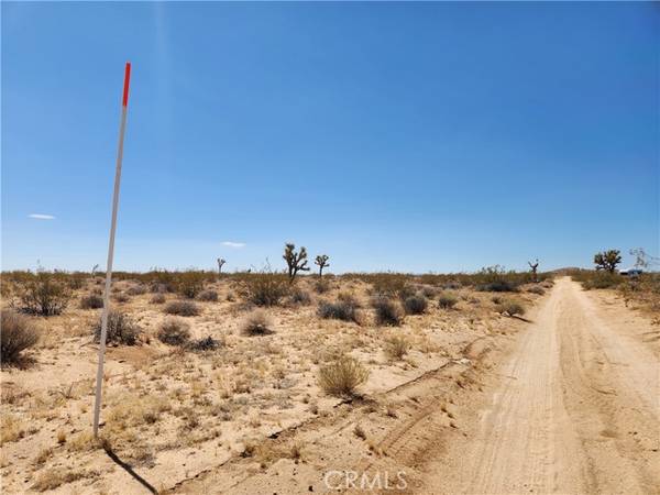 Joshua Tree, CA 92252,40 Joshua Tree