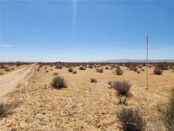 Joshua Tree, CA 92252,32 Sonora