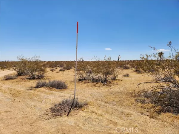 Joshua Tree, CA 92252,15 Bowman