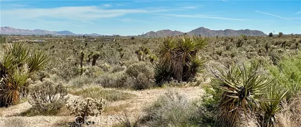 Lucerne Valley, CA 92356,0 Mountain View