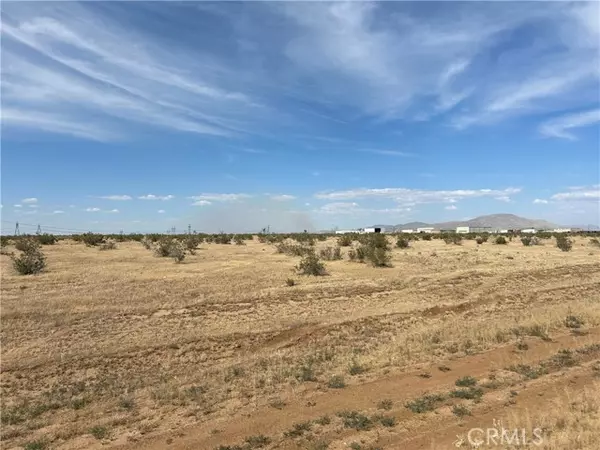 Adelanto, CA 92301,0 Cassia