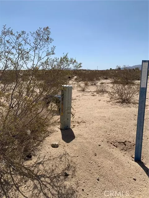 29 Palms, CA 92277,0 Meldora