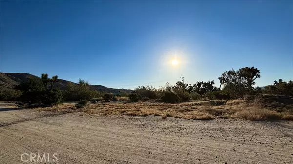 Yucca Valley, CA 92284,703 Scarvan