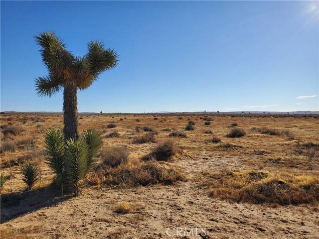 1 Near Jerome, Kramer Junction, CA 93516