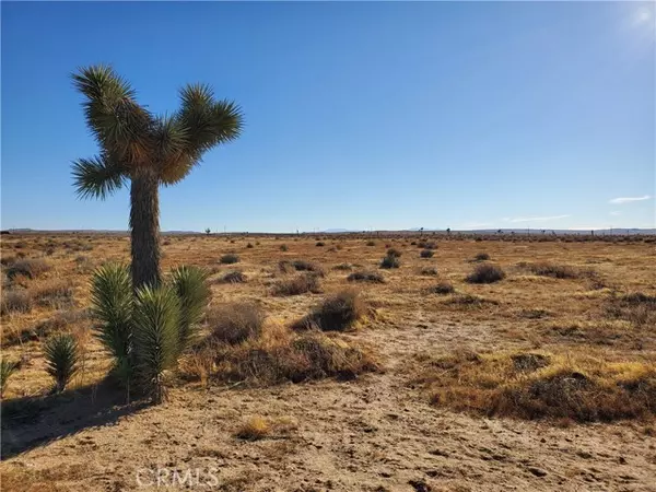 Kramer Junction, CA 93516,1 Near Jerome