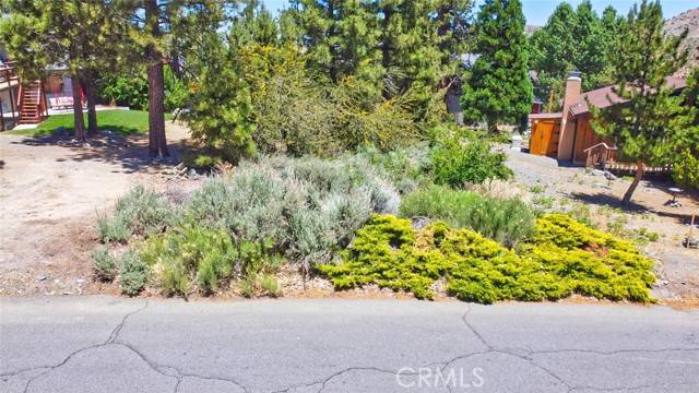 2310 E Canyon, Wrightwood, CA 92397