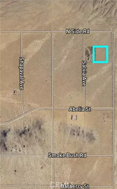 Lucerne Valley, CA 92356,800 Firethorn