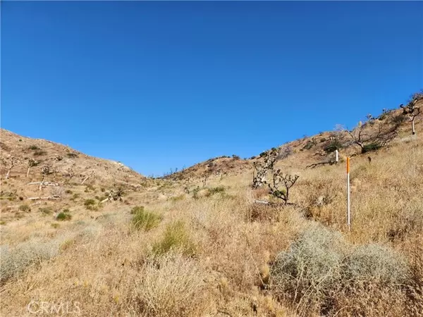 Yucca Valley, CA 92284,5 Near Elk