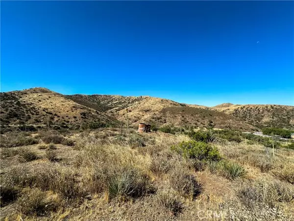 Agua Dulce, CA 91350,0 Big Springs