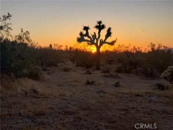 Lucerne Valley, CA 92356,0 Santa Rosa