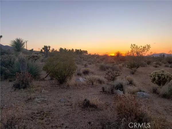 Lucerne Valley, CA 92356,0 Santa Rosa