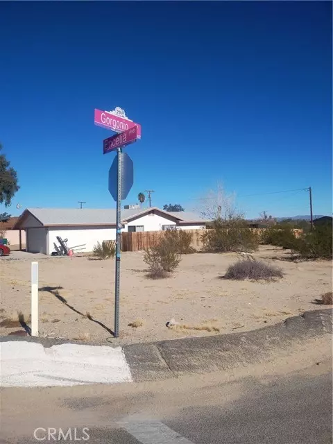 29 Palms, CA 92277,0 Encelia