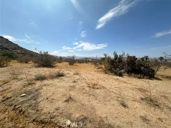 Apple Valley, CA 92307,0 Waalew