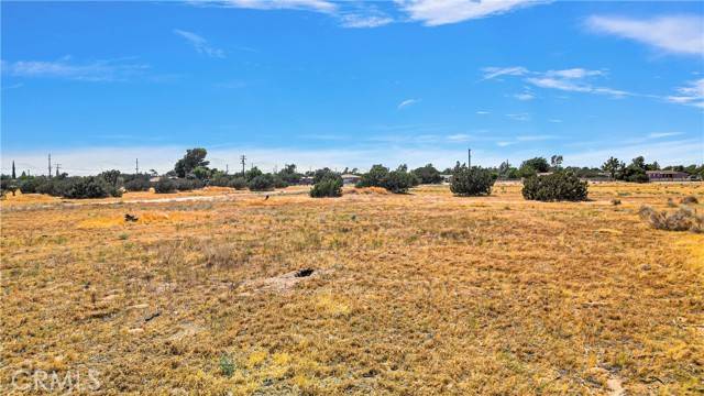 Hesperia, CA 92345,0 Olive