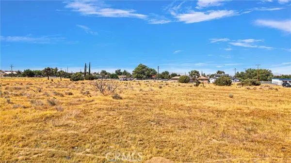 Hesperia, CA 92345,0 Olive