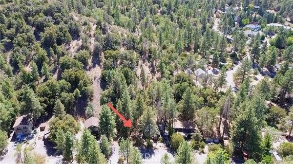 Wrightwood, CA 92397,5462 Heath Creek Dr