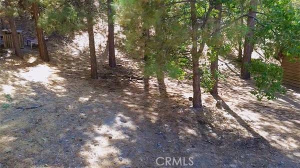 5462 Heath Creek Dr, Wrightwood, CA 92397