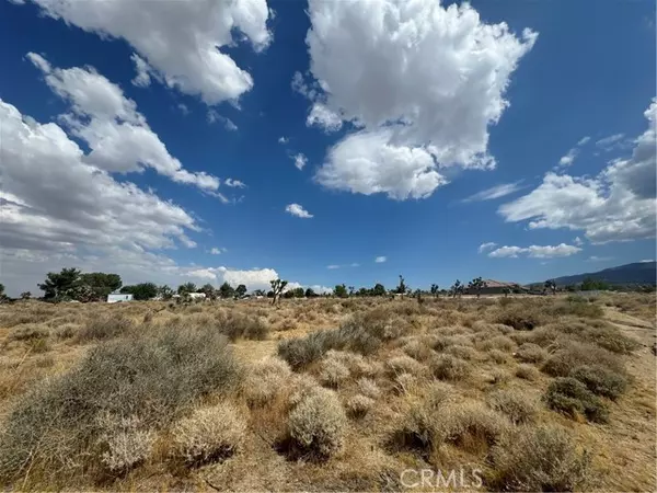 0 Desert View, Pinon Hills, CA 92372