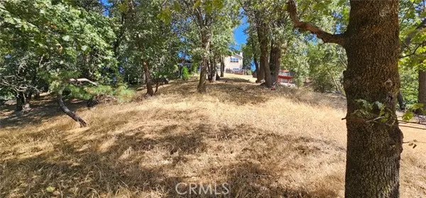 Crestline, CA 92325,0 Edelweiss